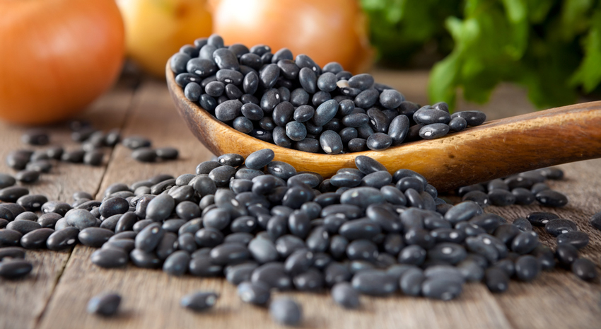 لوبیای سیاه