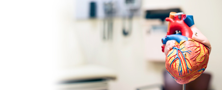 مدل قلب
