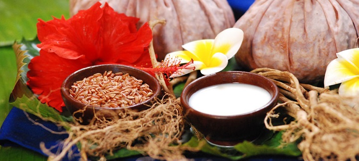 گیاهان لاغر کننده