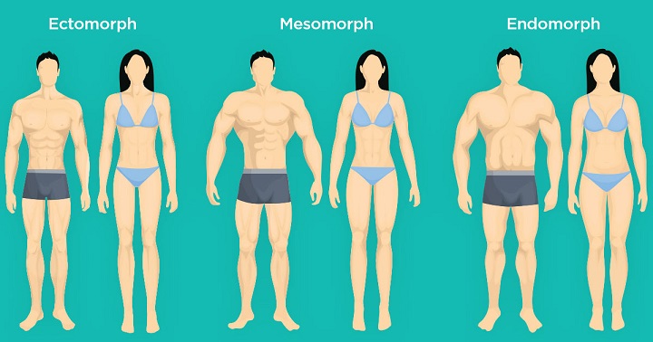 شکل بدن