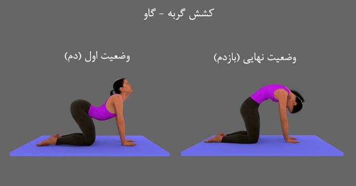 ورزش برای درمان کمر درد