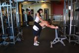 Donkey Calf Raise