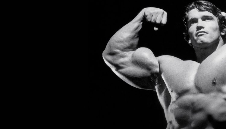 arnold blueprint to mass bodybuilding
