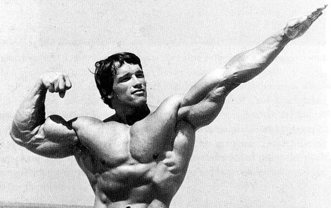 Arnold1