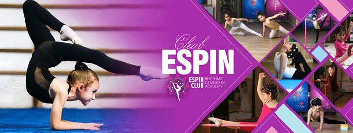 آکادمی اسپین