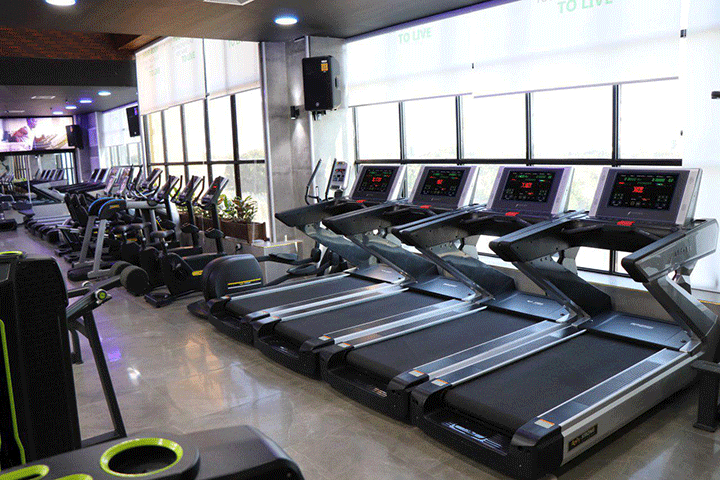 رویای زندگی